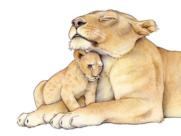 illustration of a lioness and a cub