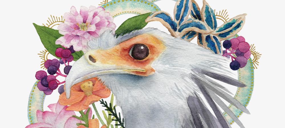 top-ss-secretarybird